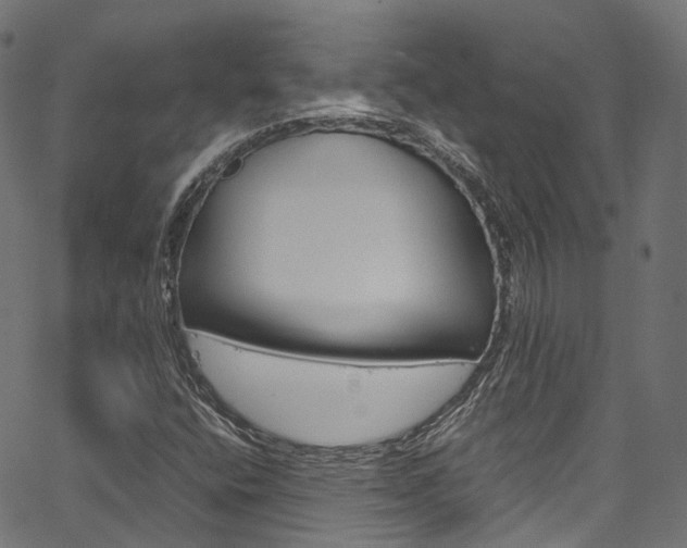 X0000067361400200603310913