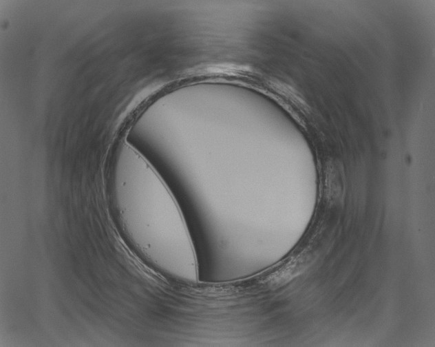 X0000067361404200603310913