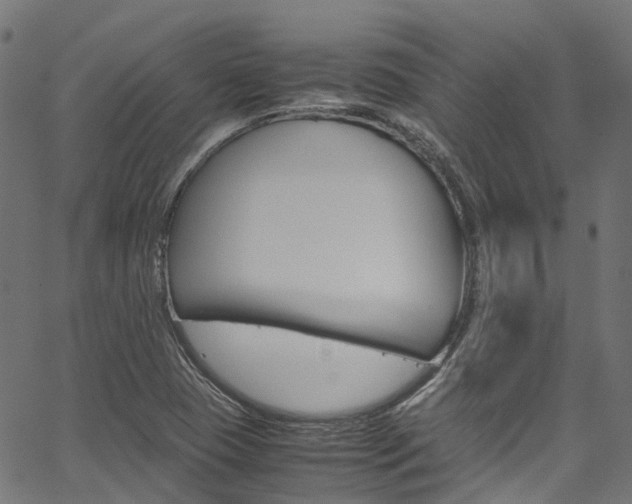 X0000067361409200603310913