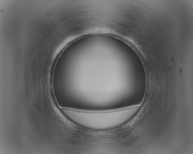 X0000067361422200603310913