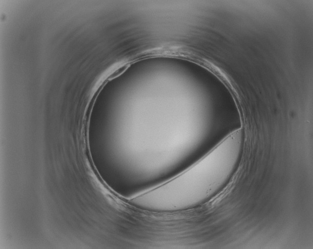 X0000067361434200603310914