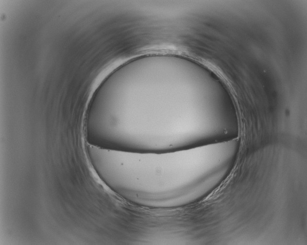 X0000067361440200603310914