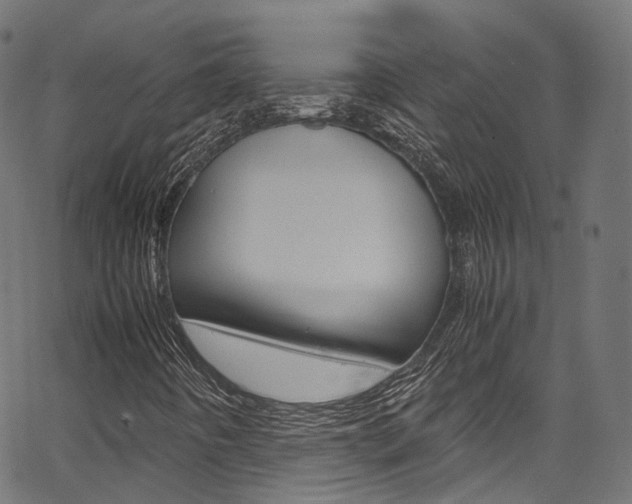 X0000067361442200603310913