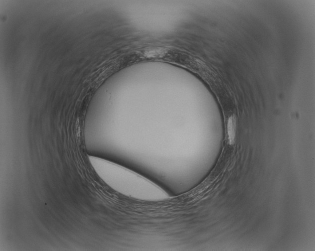 X0000067361443200603310913