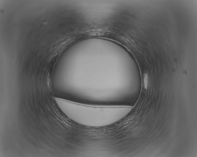 X0000067361444200603310913