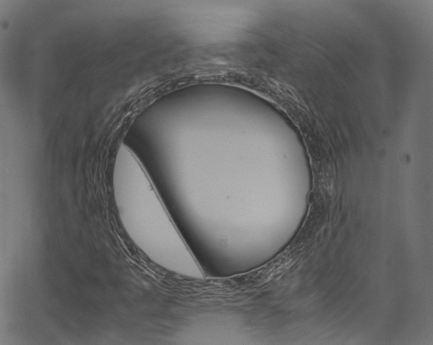X0000067361445200603310913