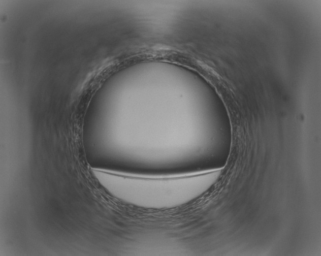 X0000067361447200603310913