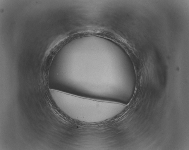 X0000067361448200603310913