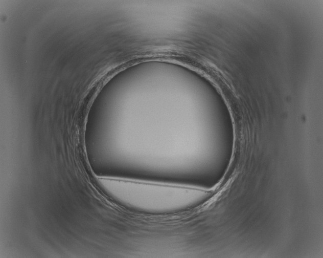 X0000067361449200603310913