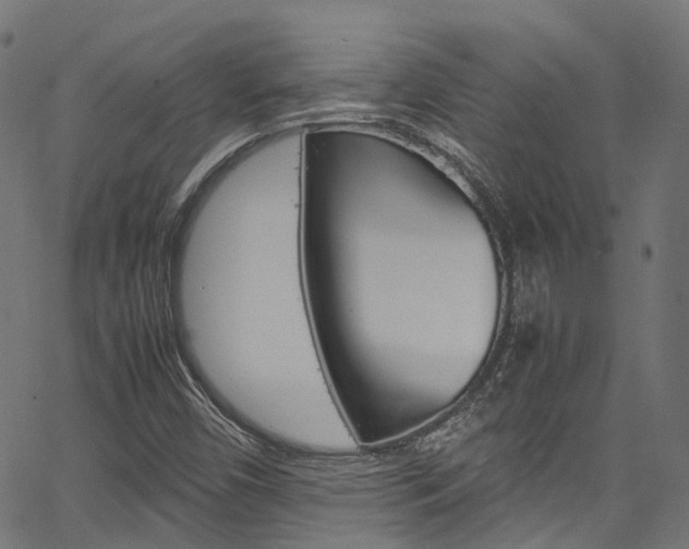 X0000067361450200603310913
