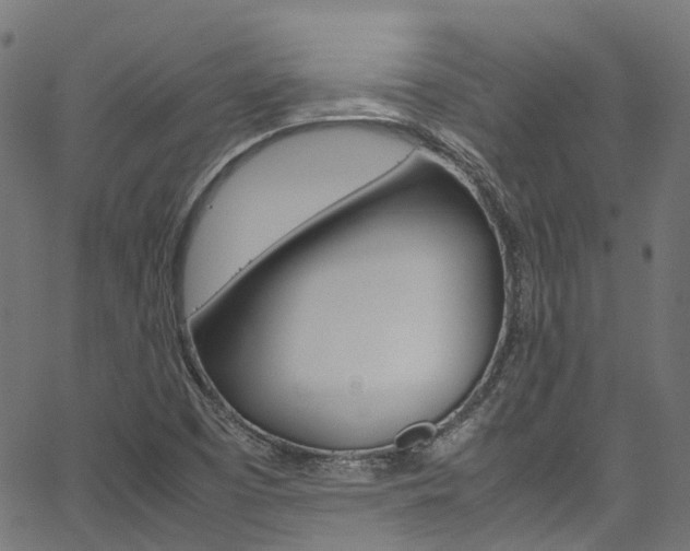 X0000067361457200603310913