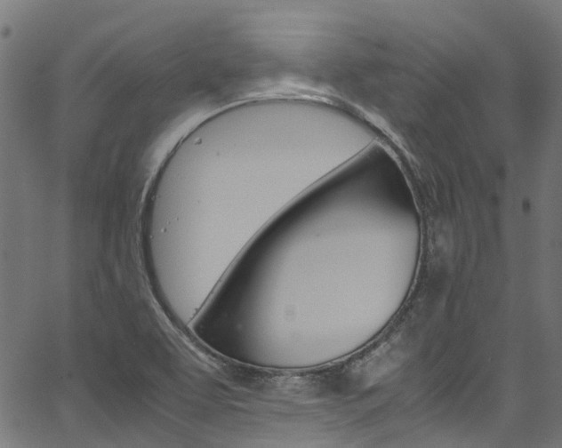 X0000067361463200603310913
