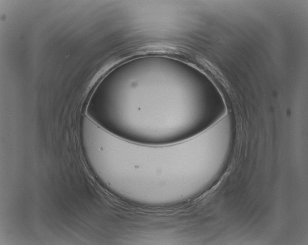 X0000067361465200603310913
