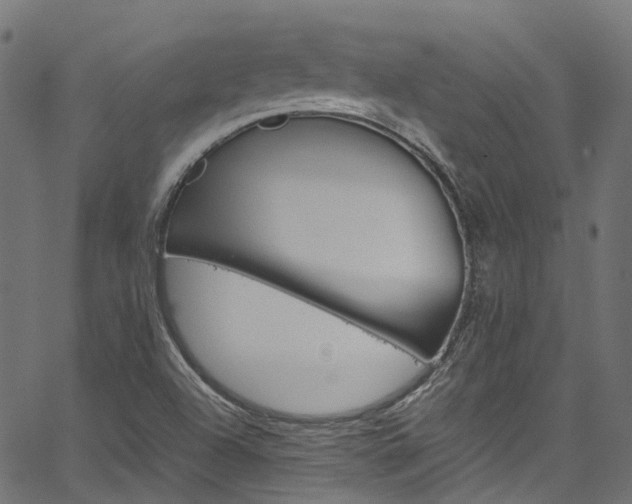 X0000067361504200603310912