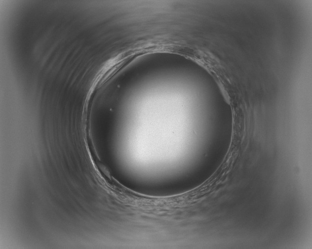 X0000067360003200603311230
