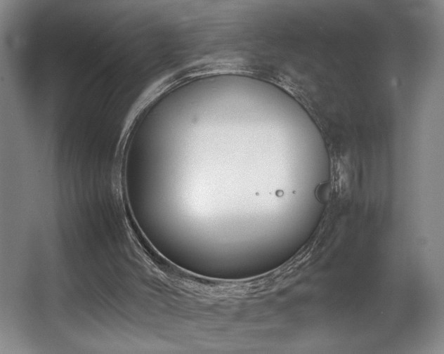 X0000067360004200603311230