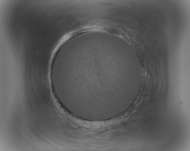 X0000067360006200603311230