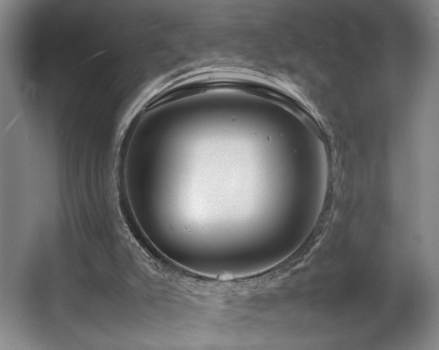 X0000067360007200603311230