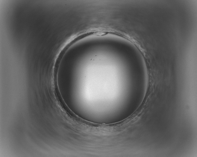 X0000067360008200603311230
