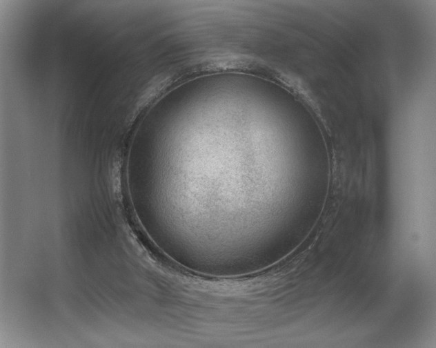 X0000067360010200603311230