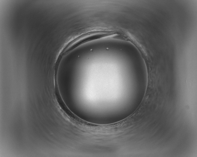 X0000067360011200603311230