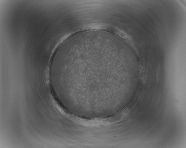 X0000067360012200603311230