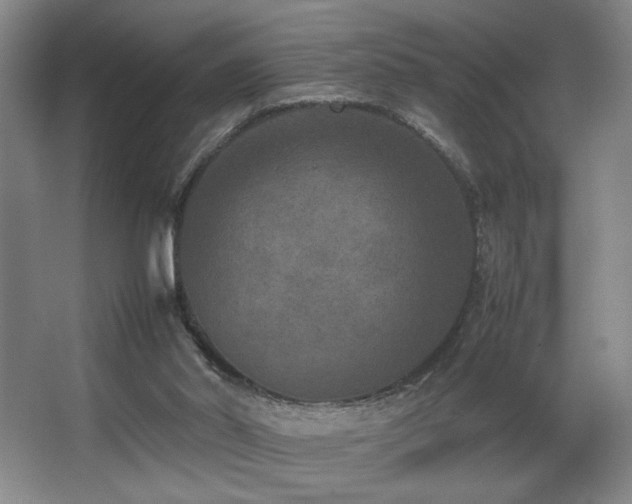 X0000067360014200603311230