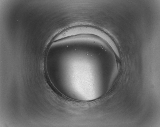 X0000067360015200603311230