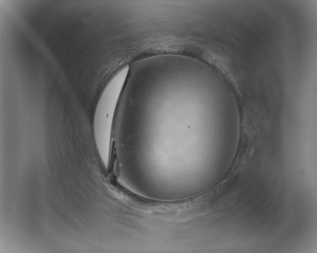 X0000067360017200603311230