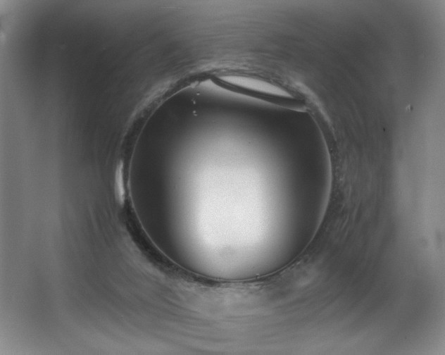 X0000067360020200603311230