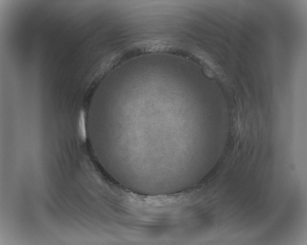 X0000067360022200603311230