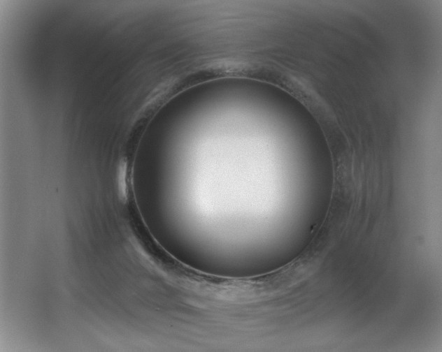 X0000067360024200603311230