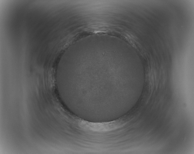 X0000067360030200603311230