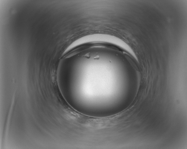 X0000067360033200603311230