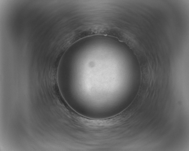 X0000067360034200603311230