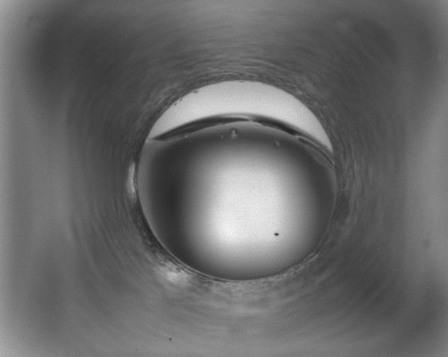 X0000067360041200603311230