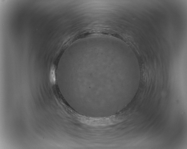 X0000067360042200603311230