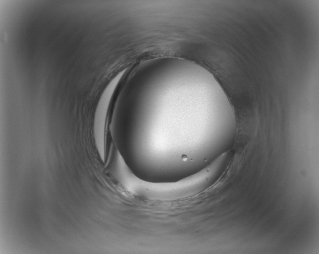 X0000067360045200603311230
