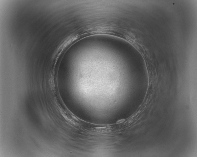 X0000067360050200603311229