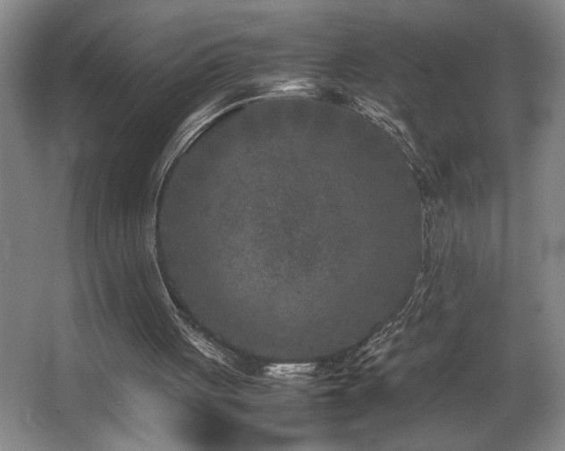X0000067360051200603311229