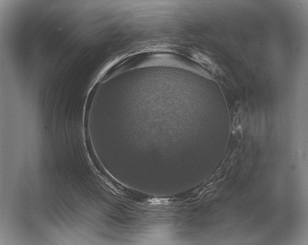 X0000067360052200603311229