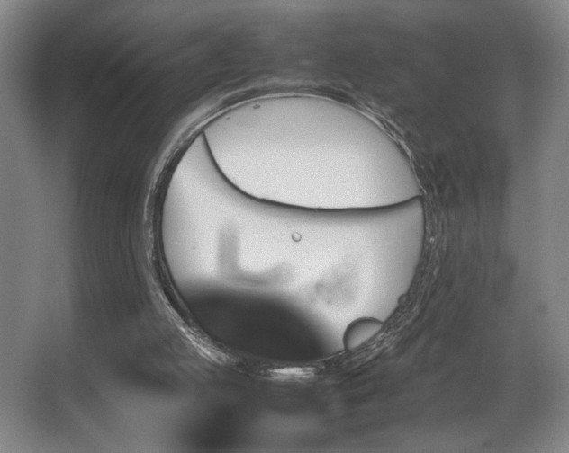X0000067360053200603311229