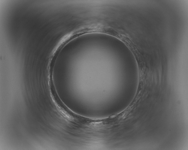X0000067360054200603311229