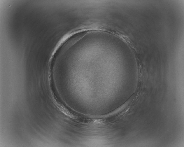 X0000067360056200603311229