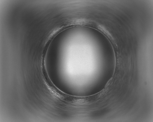 X0000067360058200603311229
