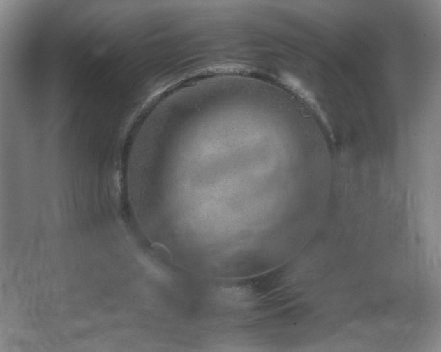 X0000067360063200603311229