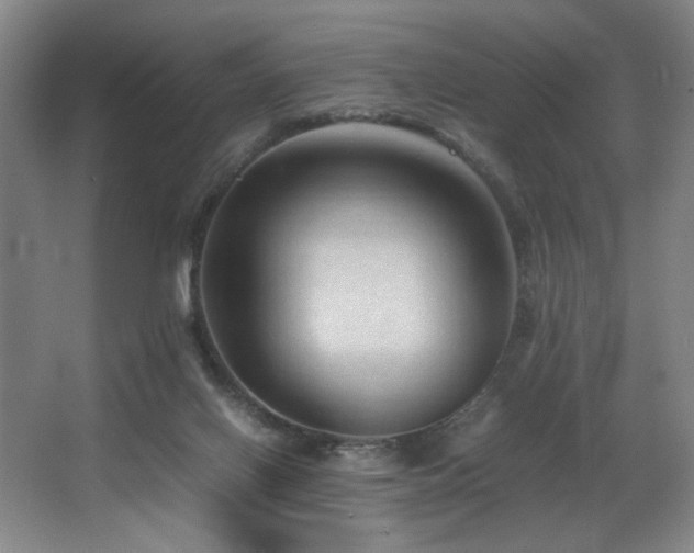 X0000067360070200603311229