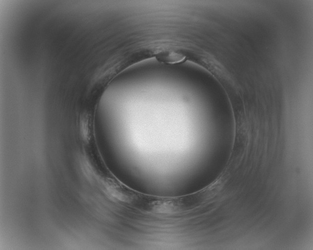 X0000067360074200603311229