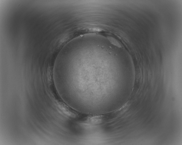 X0000067360078200603311229