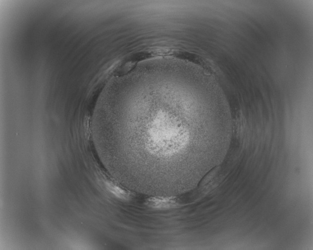 X0000067360093200603311229